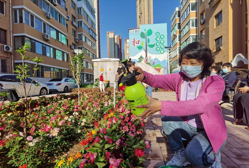 天津和平区搬家行业动态分析与趋势洞察